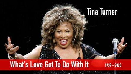 What's Love Got To Do With It