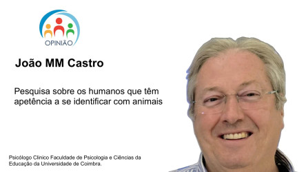 João MM Castro